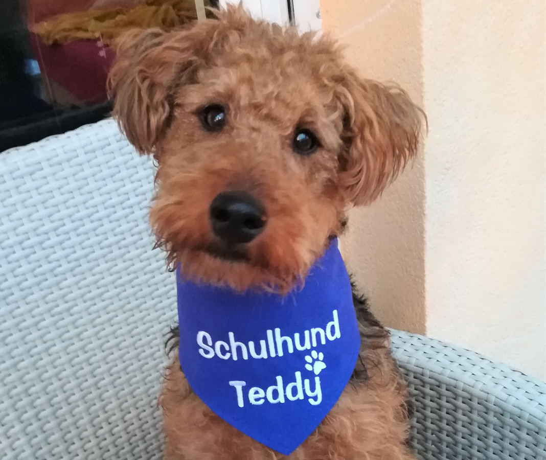 Kinder lieben Schulhund Teddy (Sonntag, 24. Januar 2021 11:01:00)