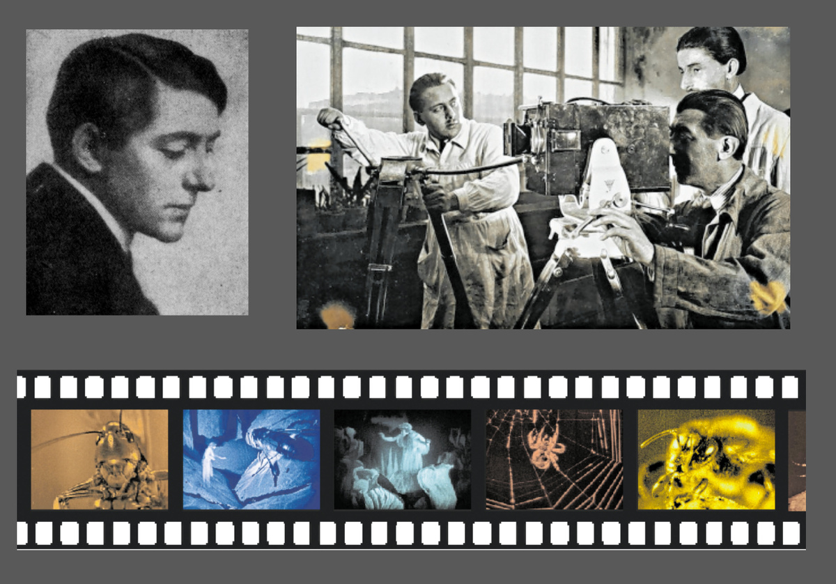 Waldemar Bonsels (links oben) erdachte die Biene Maja. Das Bild daneben zeigt Dreharbeiten zum Stummfilm von 1925, die Fotostrecke einige Szenen daraus. (Fotos: Bundesarchiv-Filmarchiv, Waldemar-Bonsels-Stiftung)