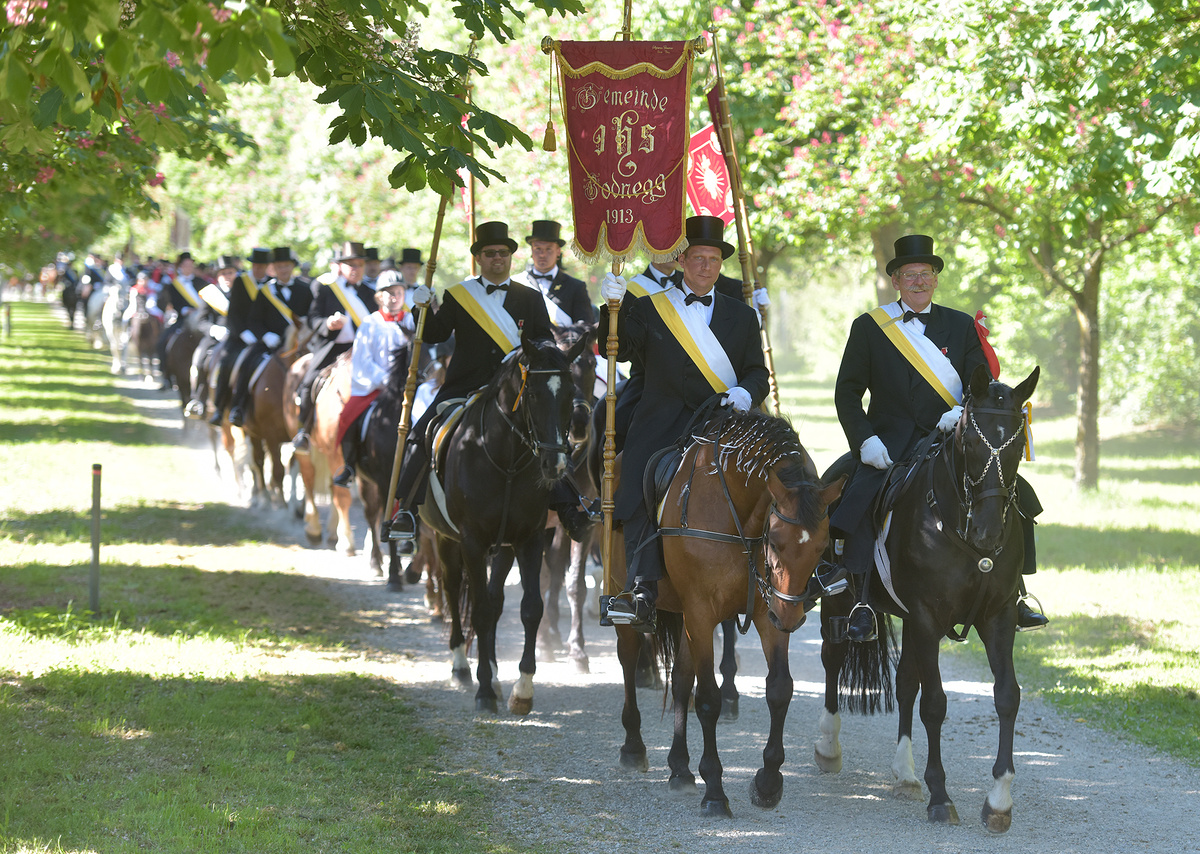 Rund 2500 Reiter nehmen an der Prozession in Weingarten teil. (Foto: Derek Schuh)