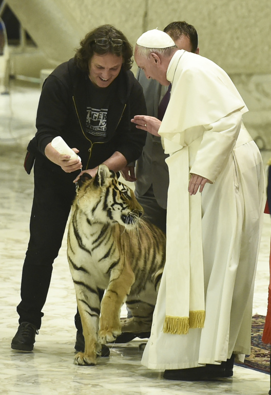Nach einer missverständlichen Äußerung bei einer Pressekonferenz betont Papst Franziskus, dass er durchaus Hunde und Katzen mag. Übrigens auch sehr große Katzen, wie er 2016 bei einer Audienz für Artisten an einem jungen Tiger bewies. (Foto: KNA)