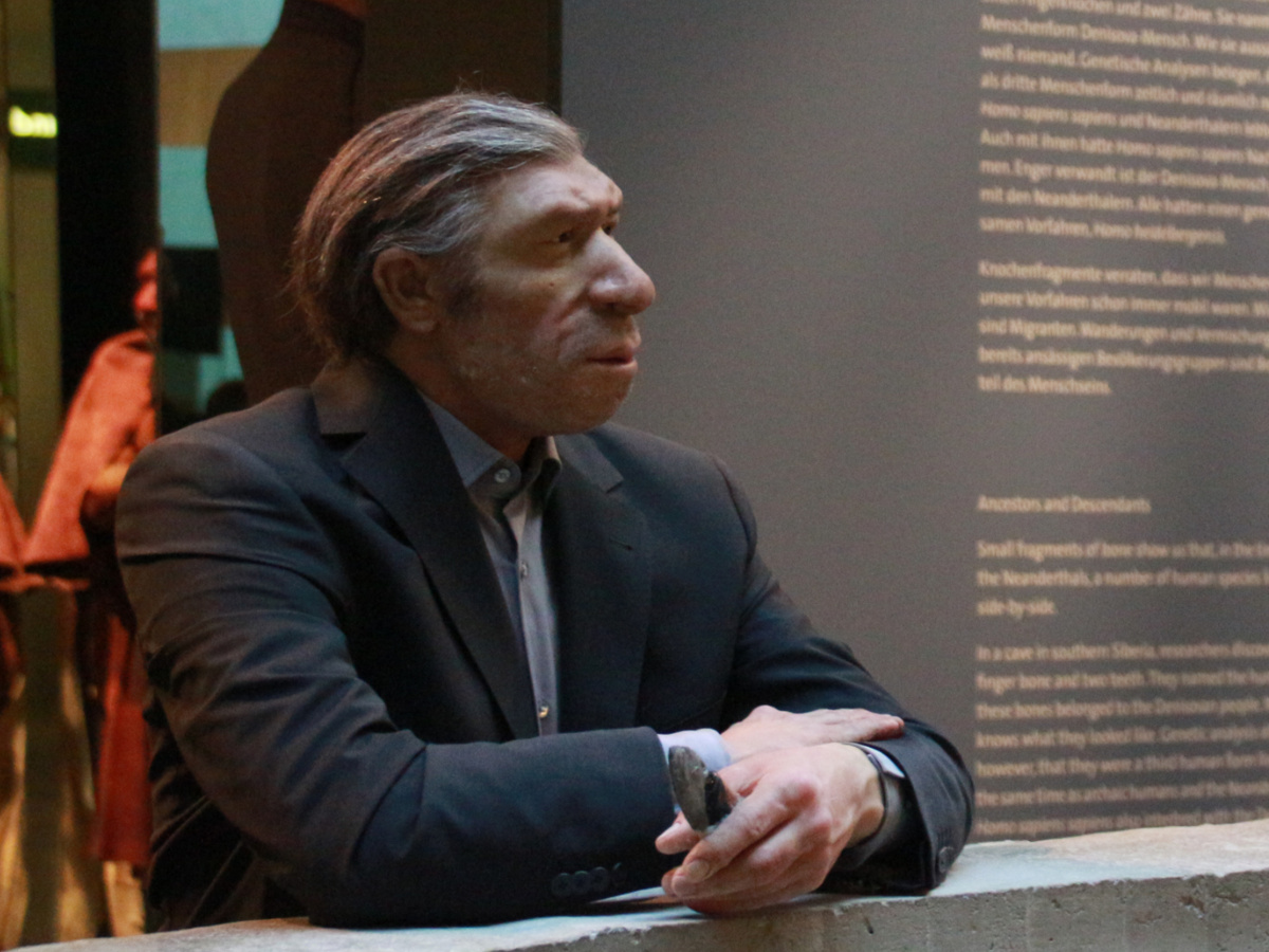 Im grauen Anzug und den Blick in die Ferne gerichtet fällt die Figur eines Neandertalers im Neanderthal-Museum in Mettmann erst auf den zweiten Blick auf. (Foto: Raspels)