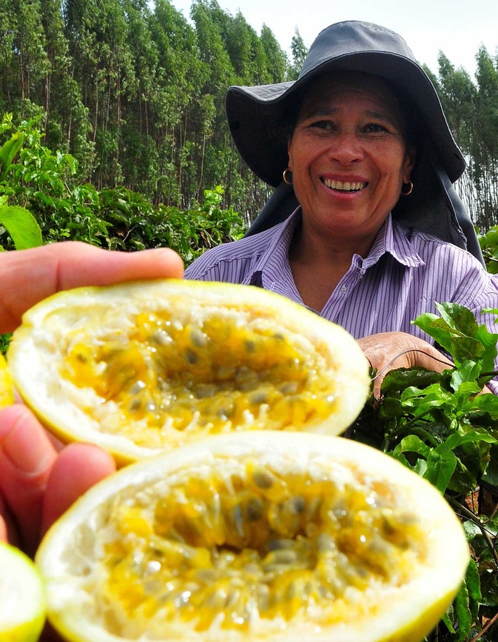 Ein Hochgenuss: Bäuerin Marcia rät dazu, die Früchte frisch auszulöffeln. (Foto: Horat)