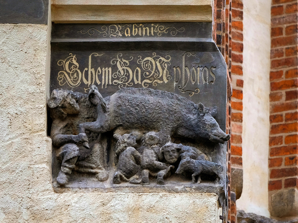 Darstellung der mittelalterlichen "Judensau", in Stein gemeißelt, an der Stadtkirche Sankt Marien in Wittenberg. (Foto: KNA)