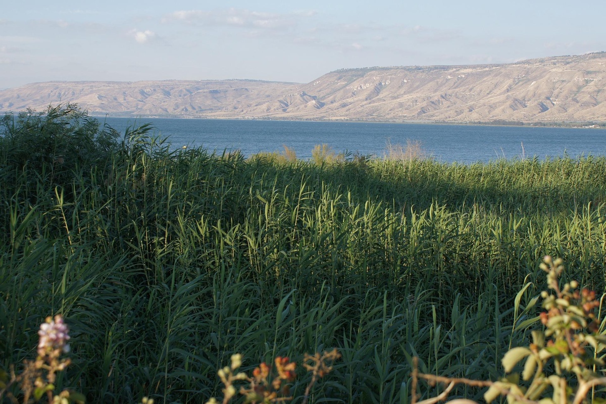 Blick auf den See Genezareth im Heiligen Land. (Foto: gem)