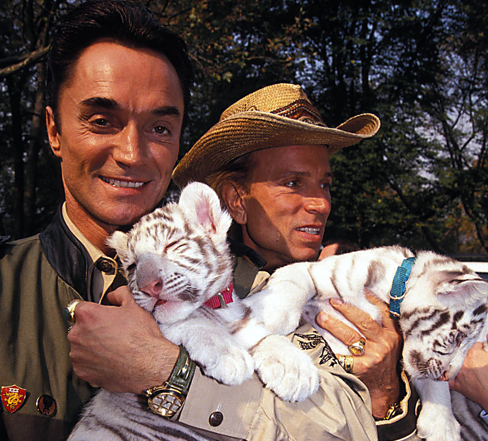 Roy Horn (vorn) mit seinem Partner Siegfried Fischbacher und zwei weißen Tigerjungen. (Foto: Imago images/MediaPunch)