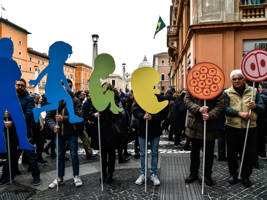 Abtreibungsgegner und Lebensschützer demonstrieren zum "Tag für das Leben" im Februar 2017 in Rom. Sie tragen bunte Pappschilder mit Darstellungen und Silhouetten der menschlichen Embryonalentwicklung. (Foto: KNA)