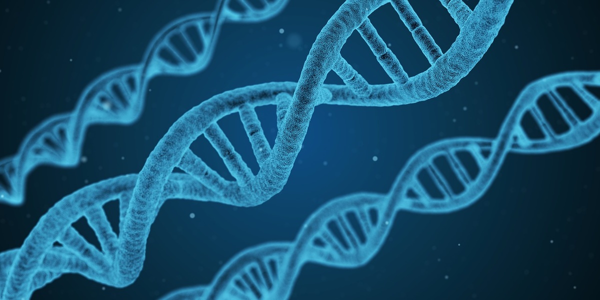 Darstellung von DNA-Strängen. (Foto: gem)