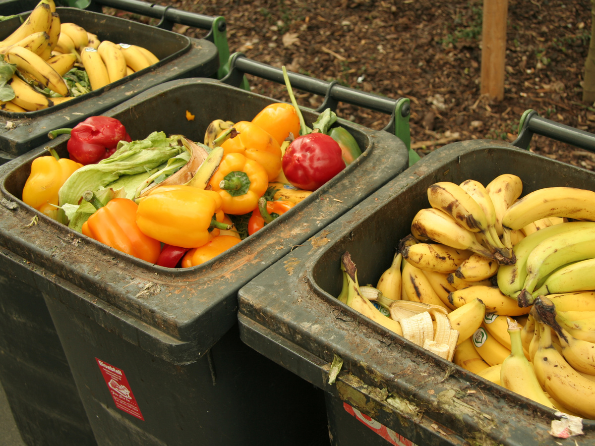 Nach Angaben der Tafeln werden rund 18 Millionen Tonnen Lebensmittel pro Jahr ungenutzt weggeworfen. (Foto: Schnappschuss/pixelio.de)