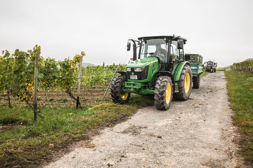 Ein Traktor bei der Weinlese. (Foto: KNA)