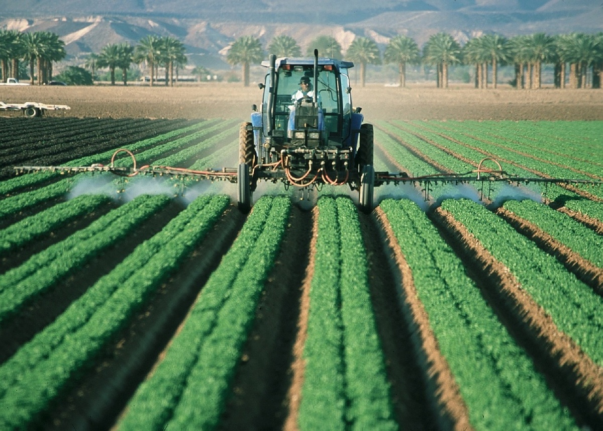 Misereor kritisiert, dass Monsanto auf Pestizide setze. (Foto: gem)