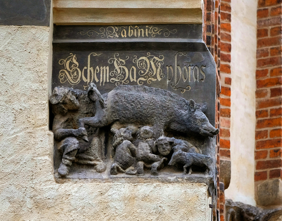 Darstellung der mittelalterlichen "Judensau", in Stein gemeißelt, an der Stadtkirche Sankt Marien in Wittenberg am 20. Juni 2015. (Foto: KNA)