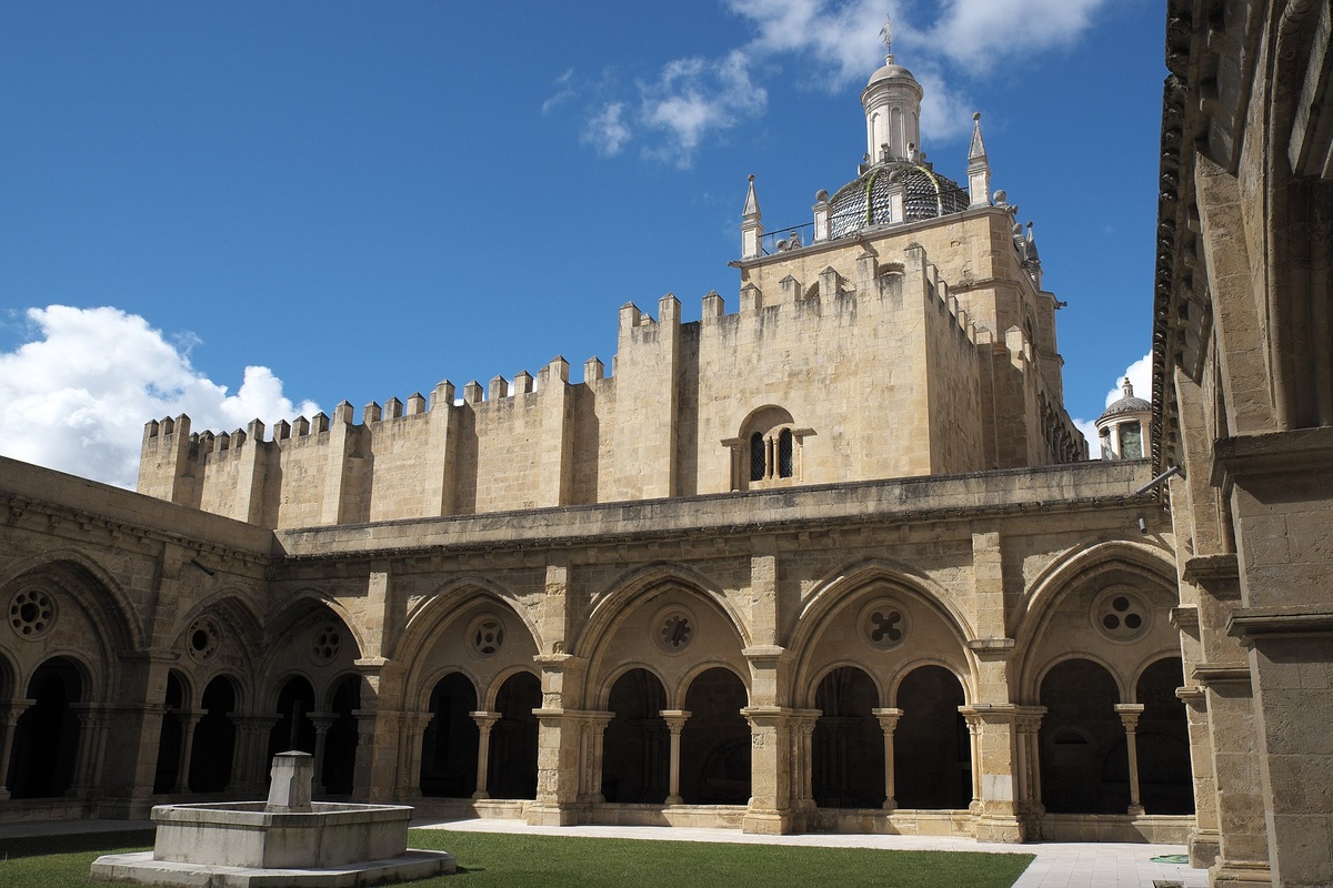 Unbekannter Pilz zerfrisst Kathedrale von Coimbra (Montag, 11. Februar 2019 14:50:00)
